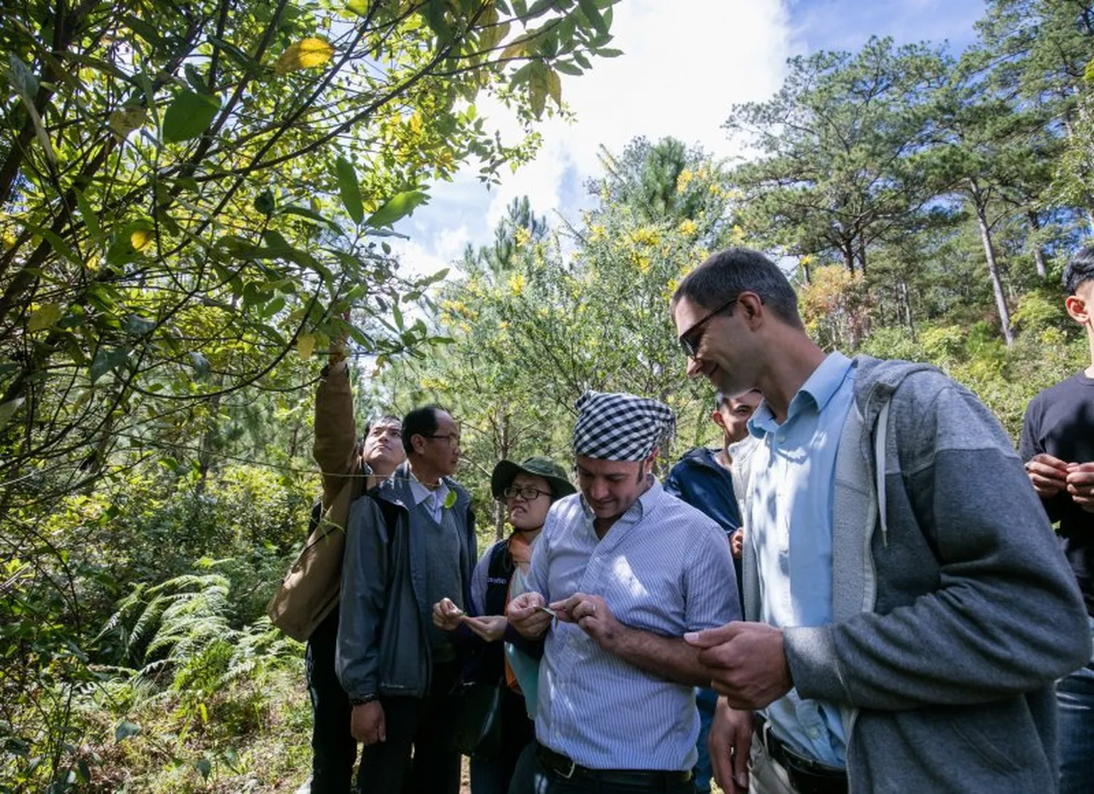 group forest