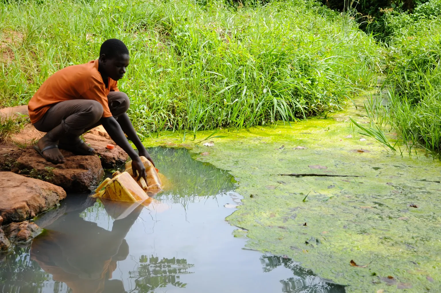 Nature for Water starts with understanding the Why!