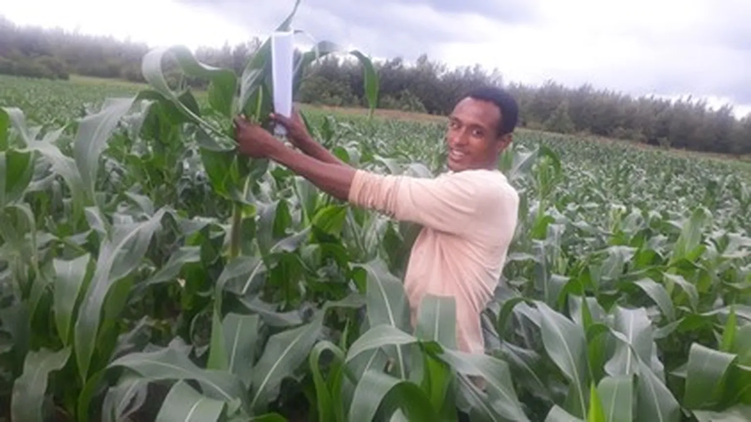Simachew, Gizat and Friends is a youth-led enterprise 