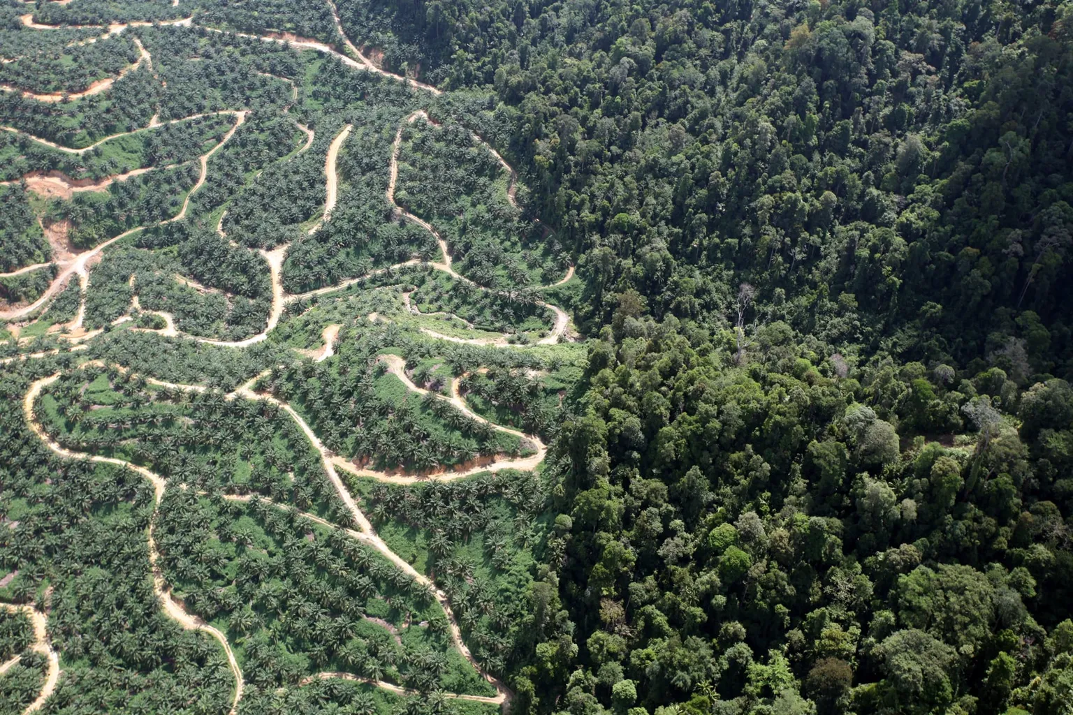 Understanding the relationship between Forests and Agriculture: the need for a landscape approach