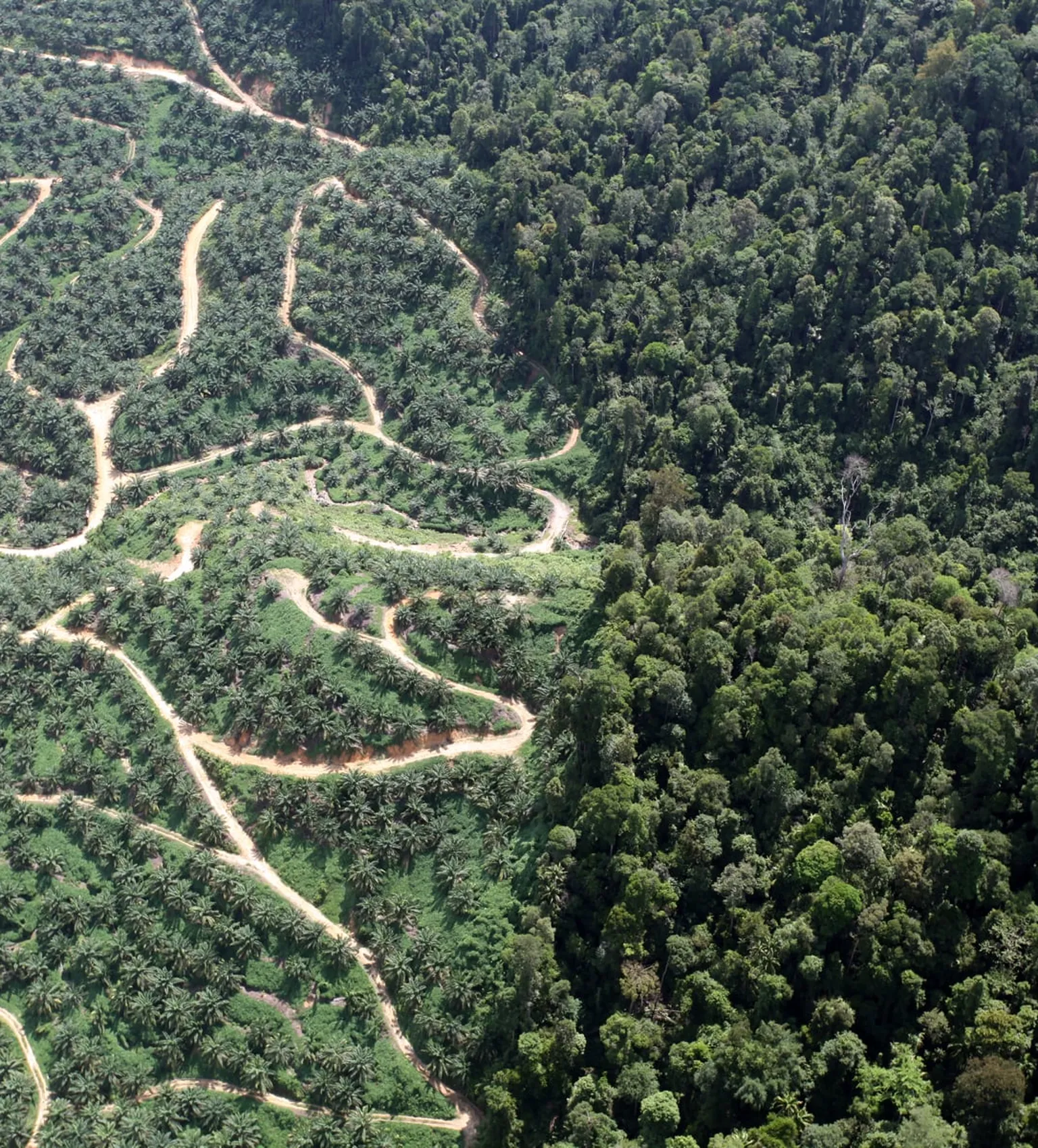 Understanding the relationship between Forests and Agriculture: the need for a landscape approach