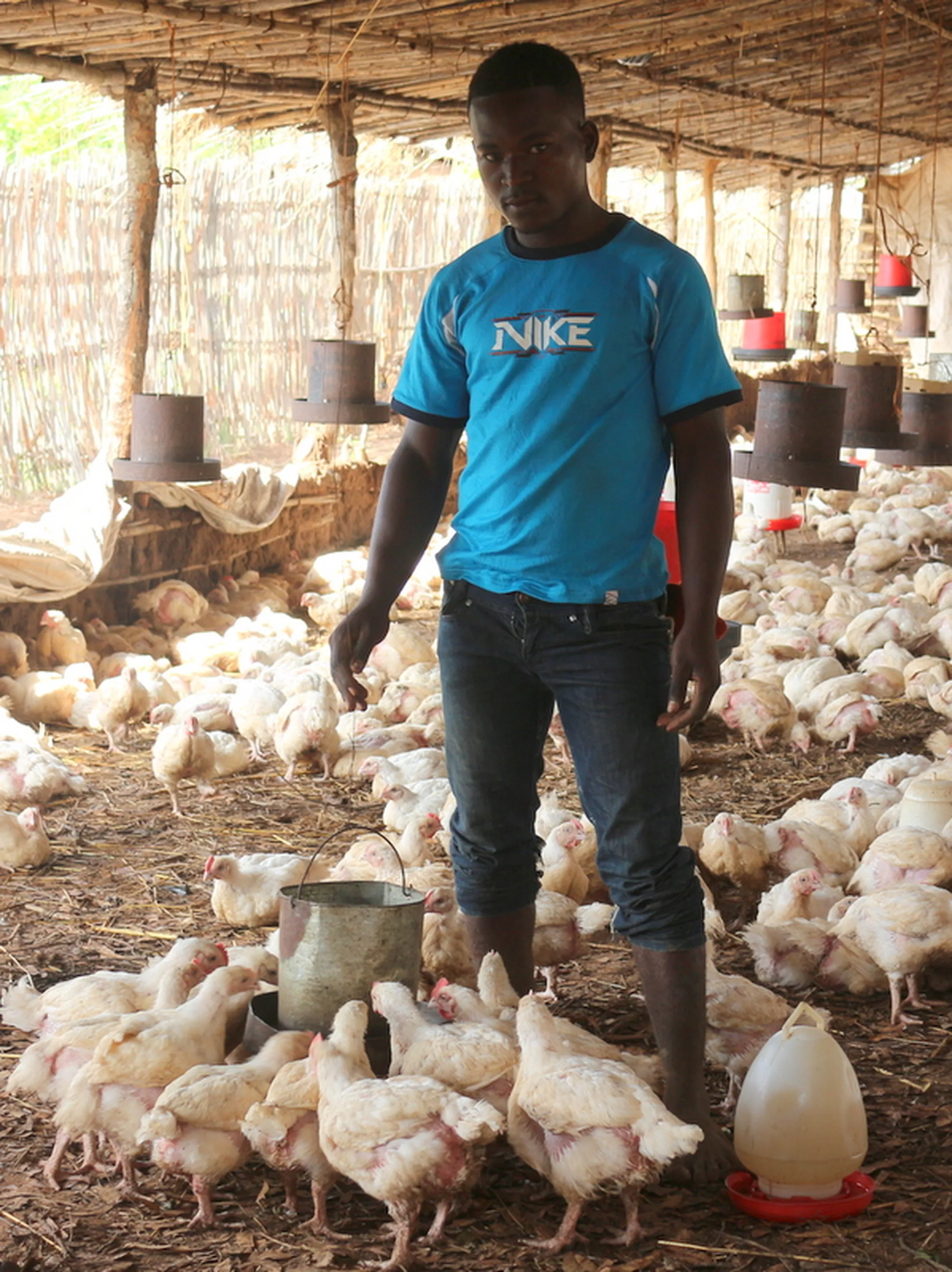 Youth fund enables young man to start poultry business