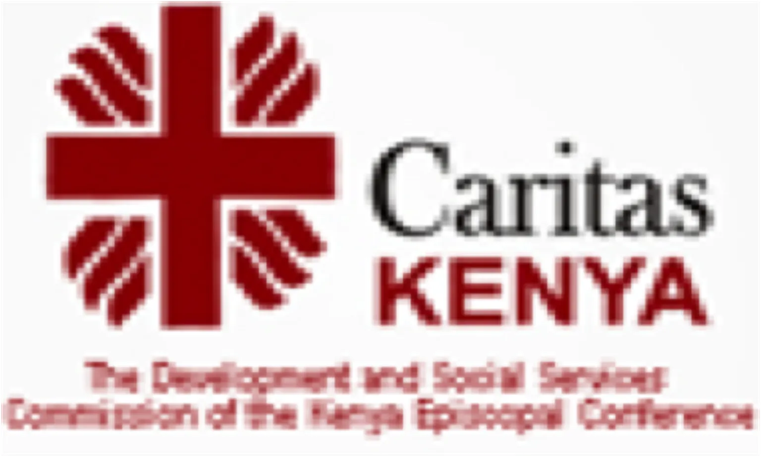 caritas drydev
