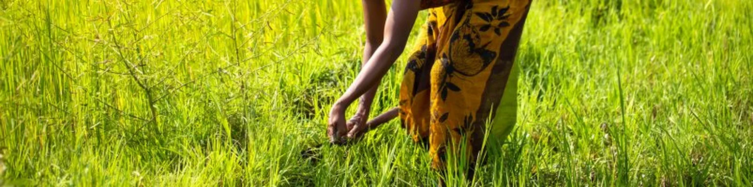 Woman working in field