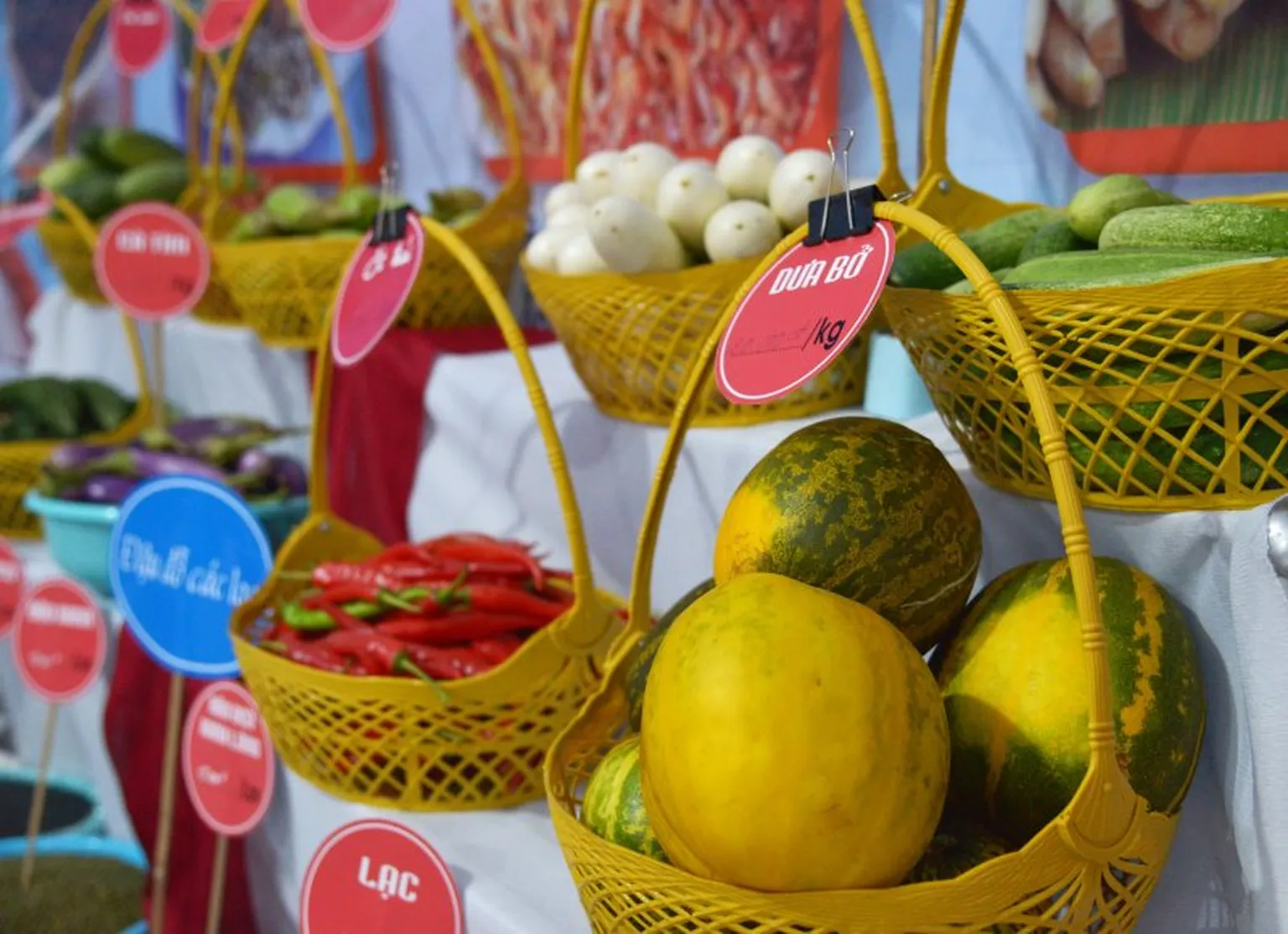 Local products from women-led enterprises in Quang Binh province