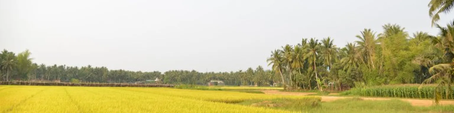 Field