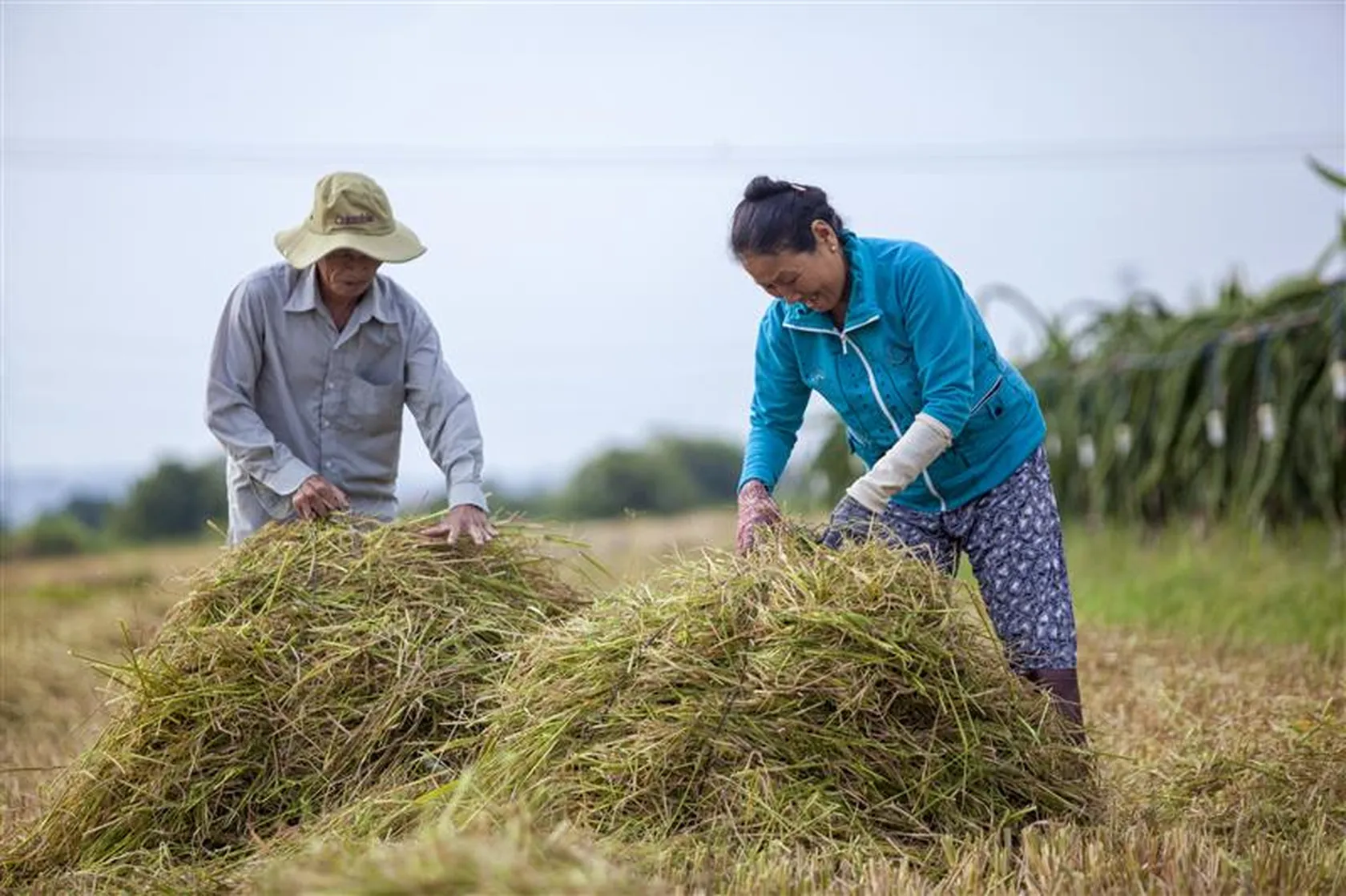 MSB-DFCD disclosure notice