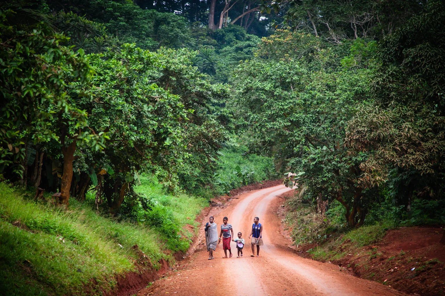 Successful innovation for climate action requires strong collaboration & trust building