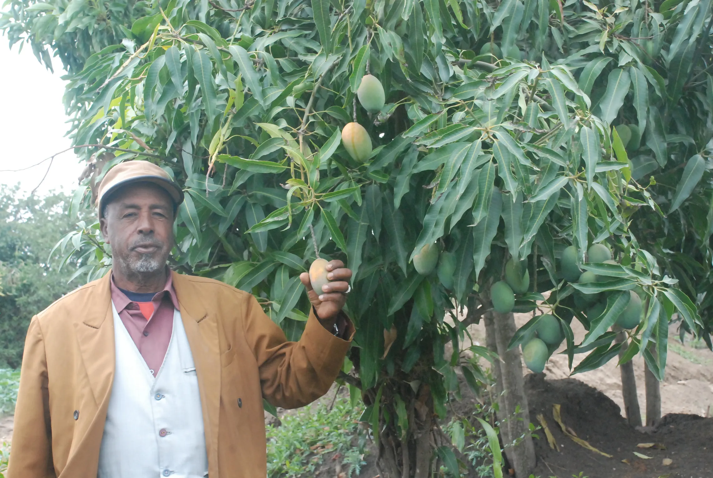 The bio-digester: a rewarding investment 