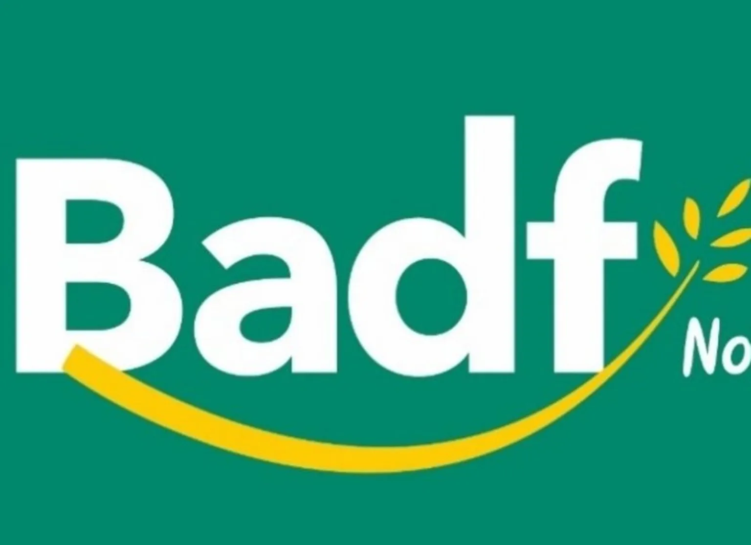 Logo of Badf