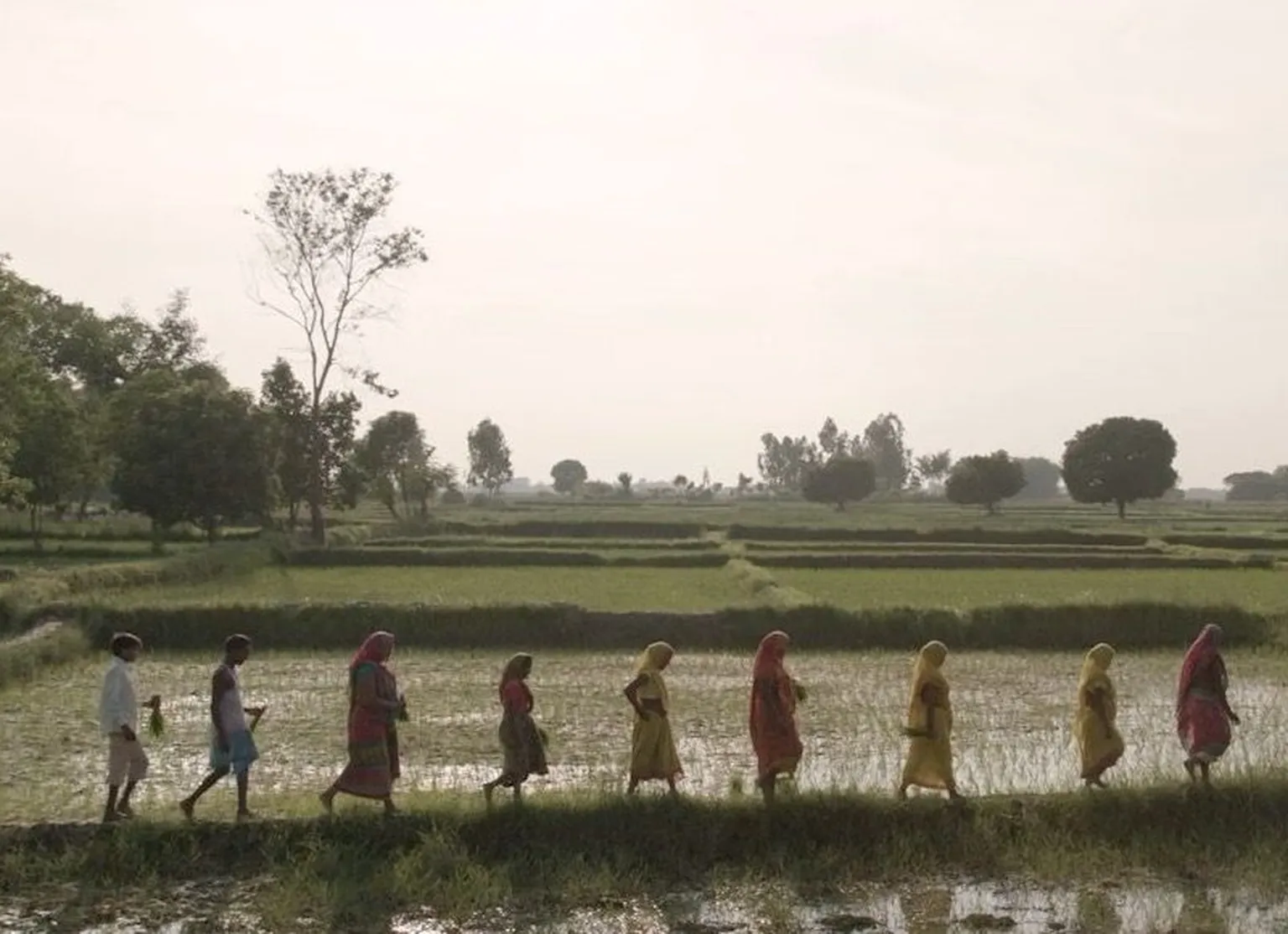 The plains of Hattisarwa Mahottari
