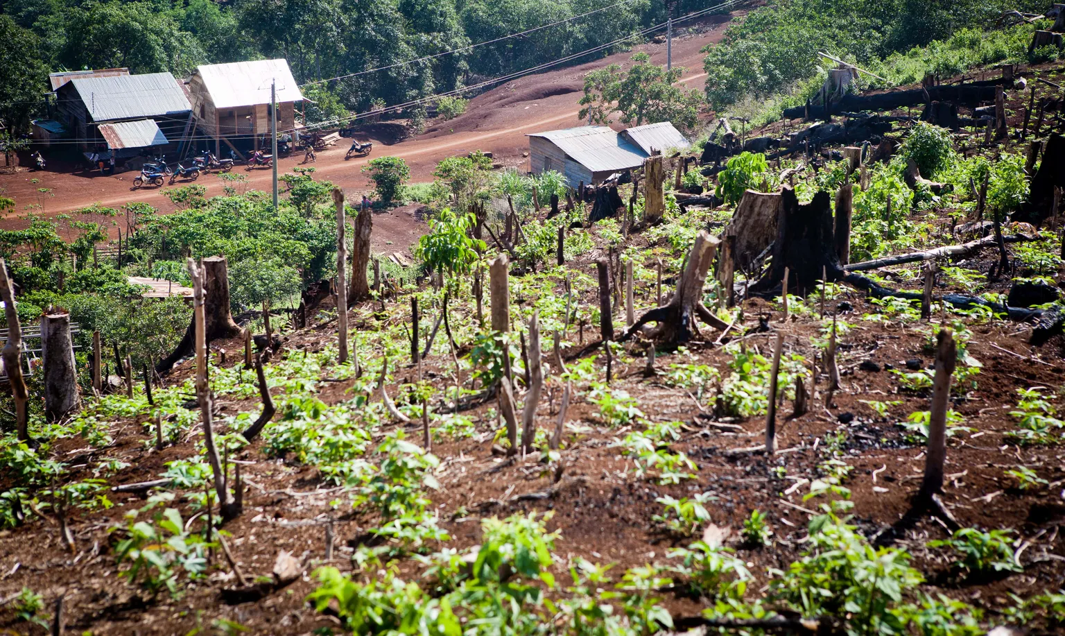 LEAF leaves an impression on Lao landscapes
