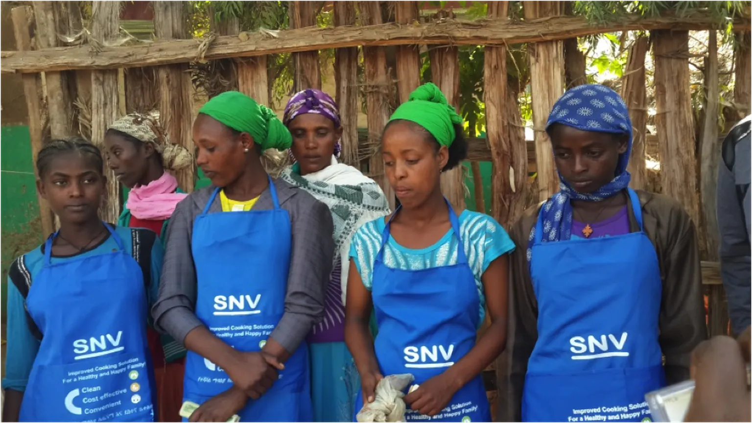 Integrated Renewable Energy Services (IRES) - Ethiopia