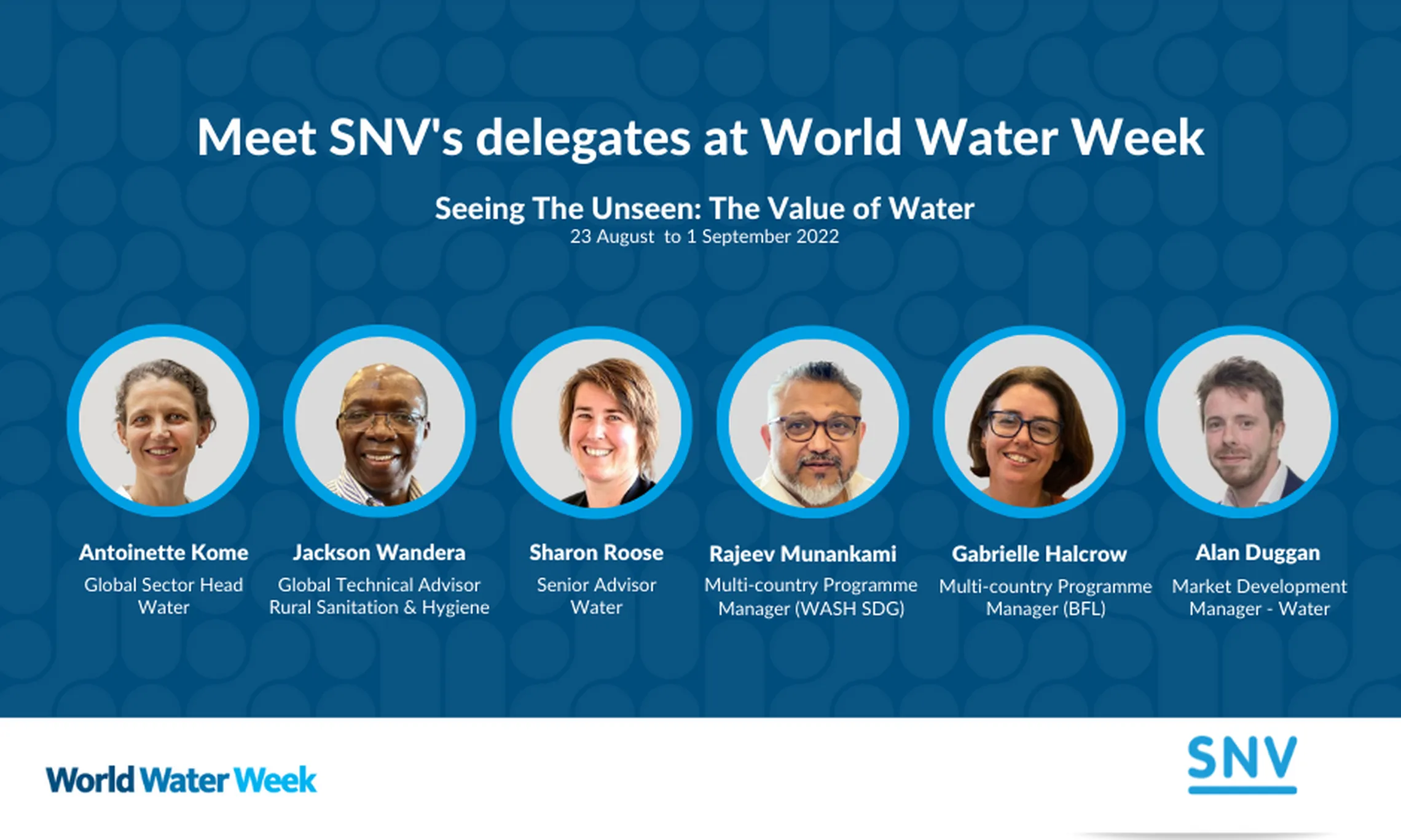 SNV delegates in WWW