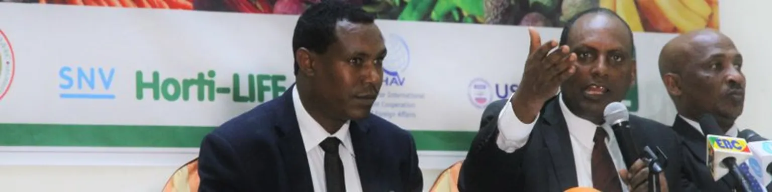 Ethiopia launches horticulture marketing strategy