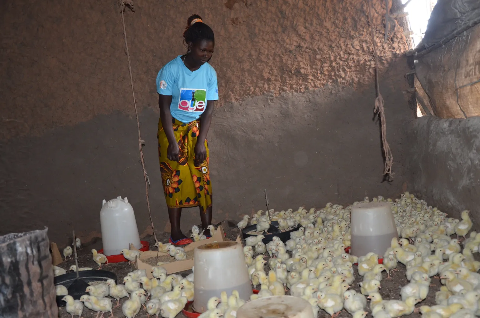 How raising chicken improves youth's lives in Mozambique