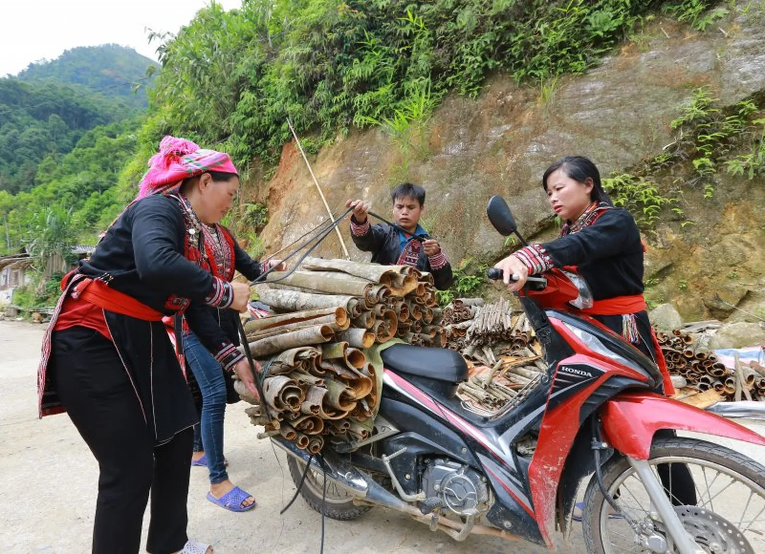 People binding sticks on bike