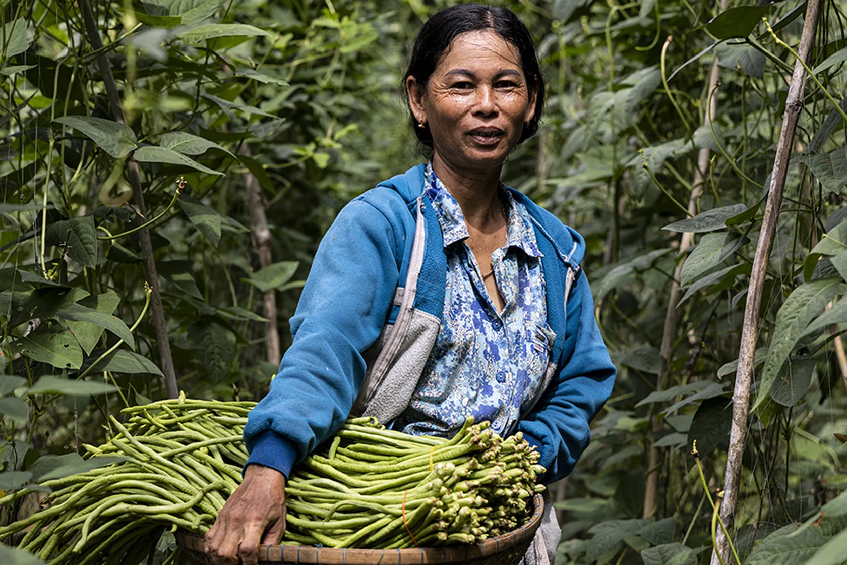 Srey Srouy Cambodian horticulture producer using HUSK products (DFCD partner)