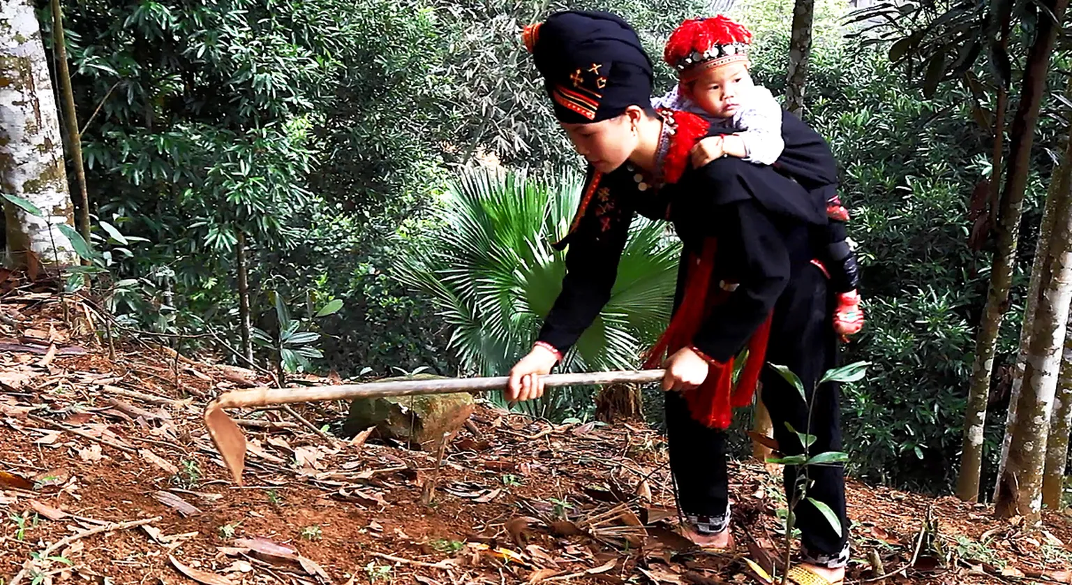 Market Access for the Poor - Supporting 24,000 households in Northern Vietnam