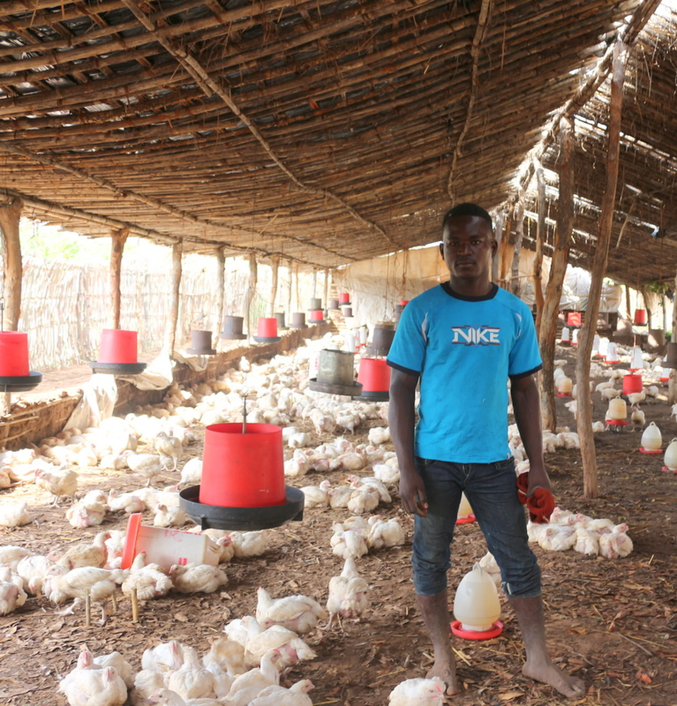 Youth fund enables young man to start poultry business