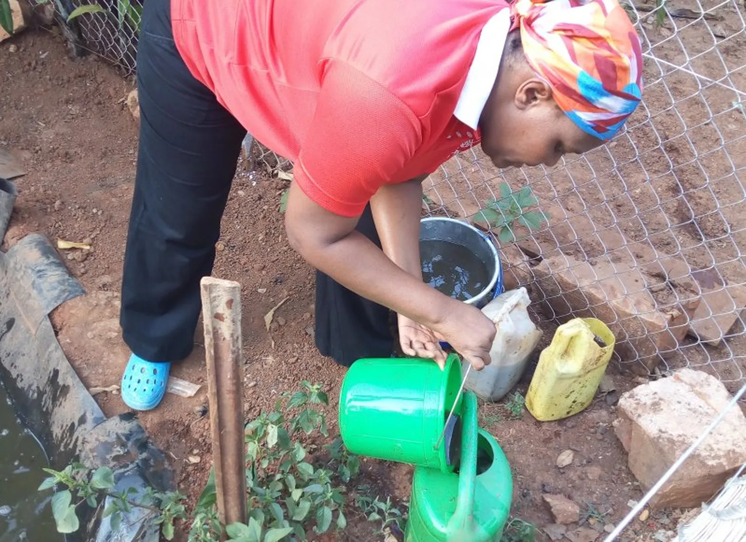 Pheonah collects liquid bio-slurry for her vegetable garden 