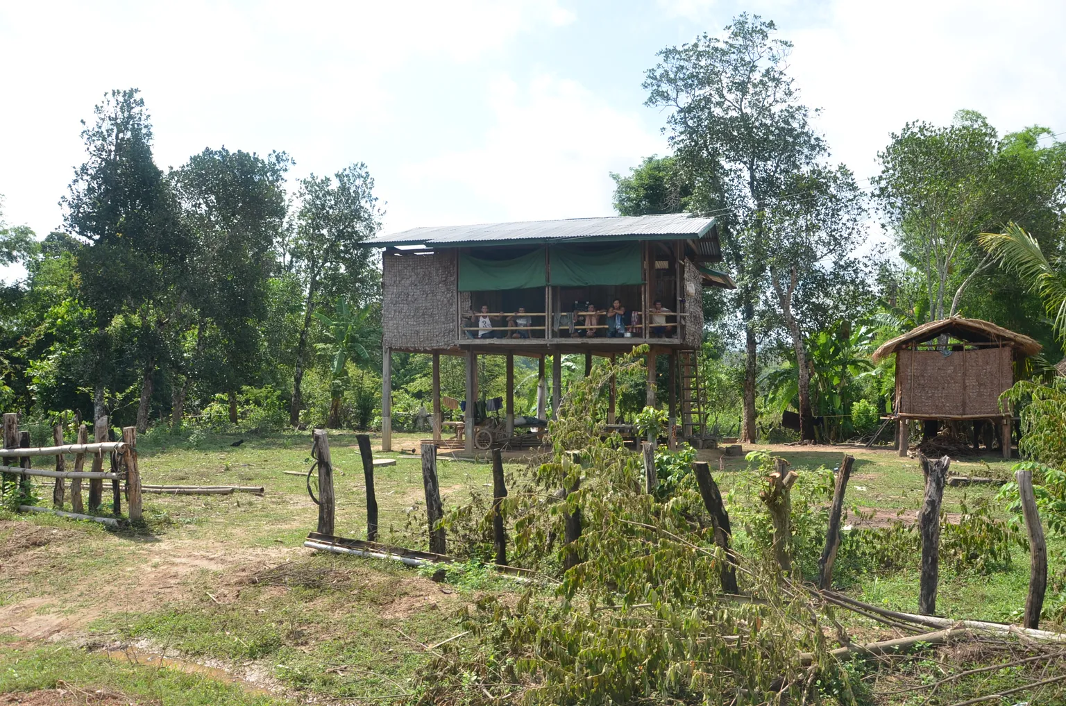 Strengthening forests, strengthening livelihoods