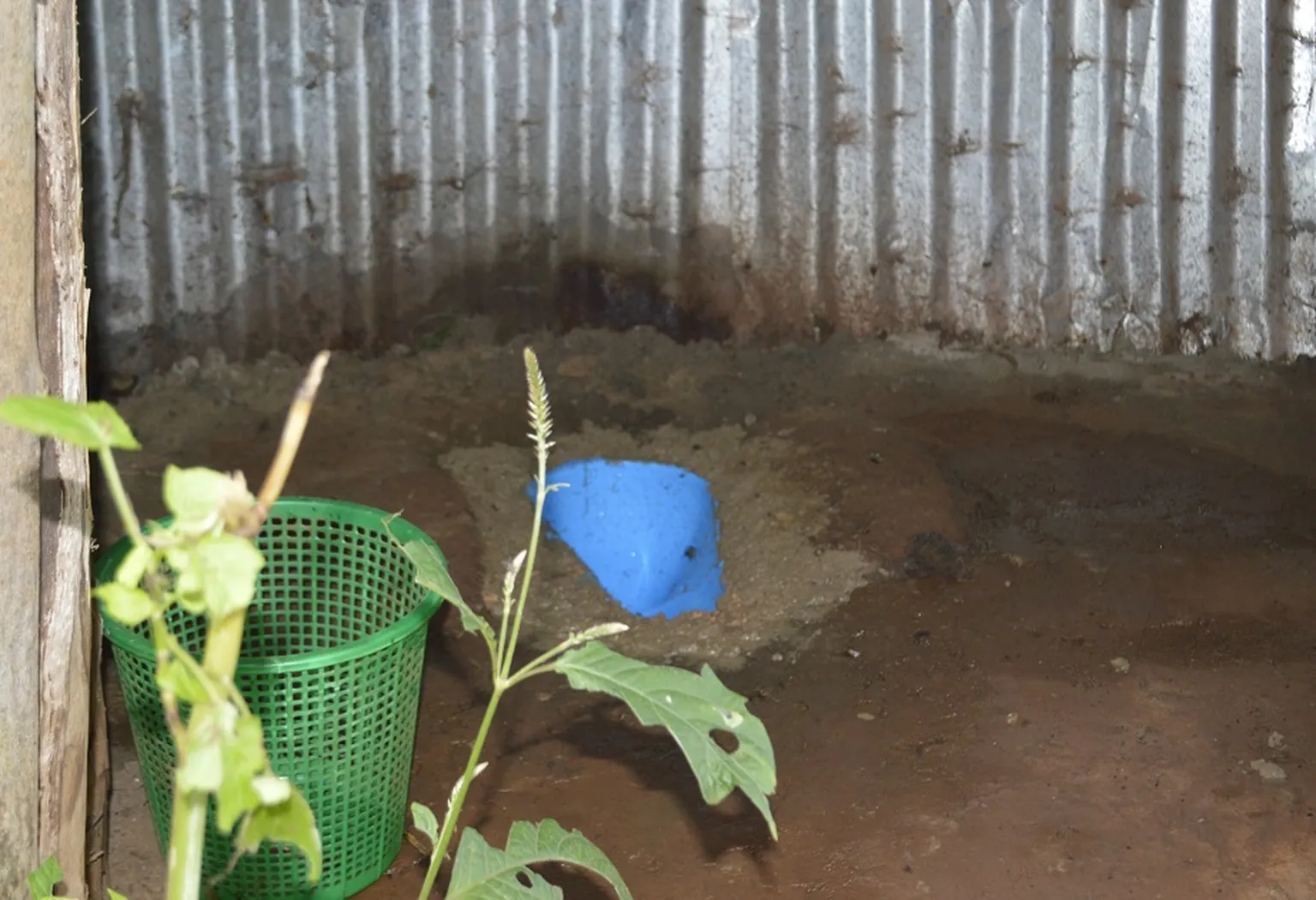 School Latrine