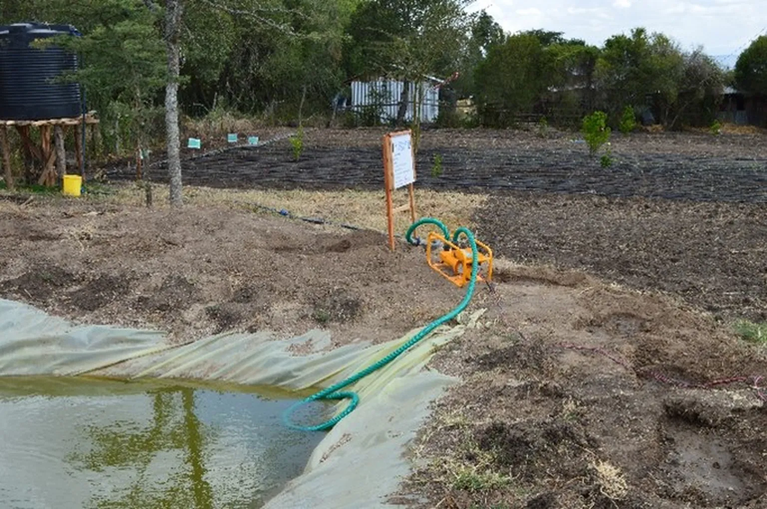 The surface water pump on Rose’s farm