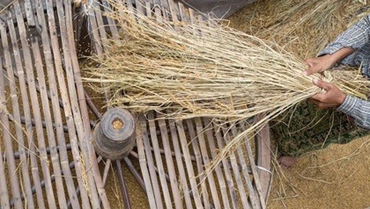 Getting together on 'on-farm' trials