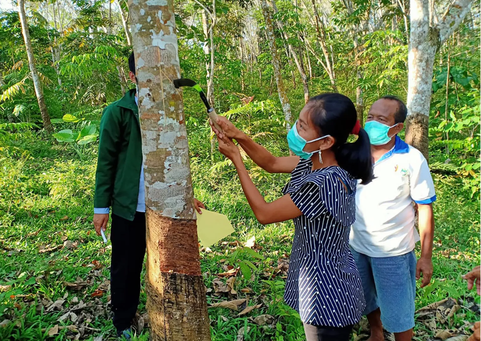 A woman holding a tool towards a tree trunk