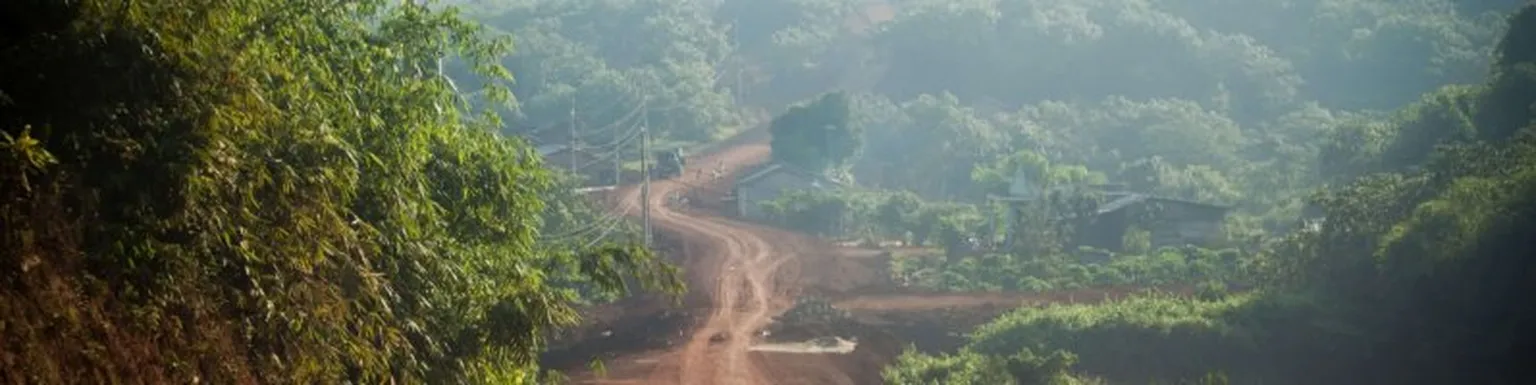 Road through forest