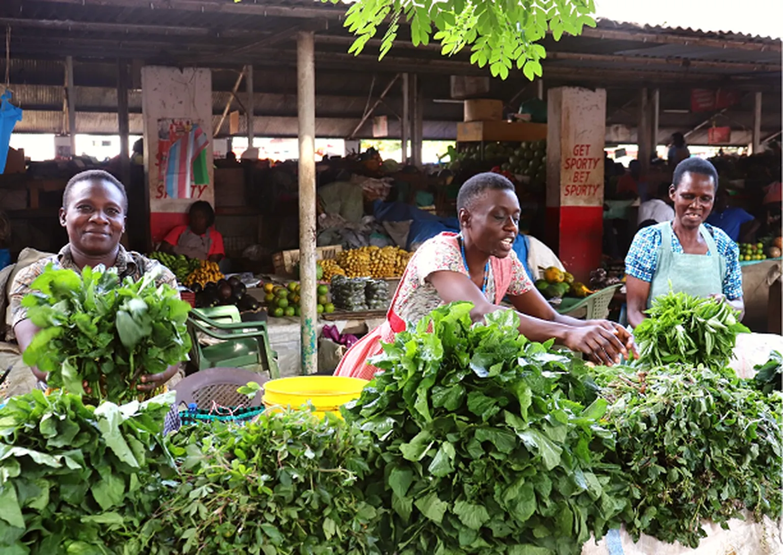 Women selling vegetables at a market