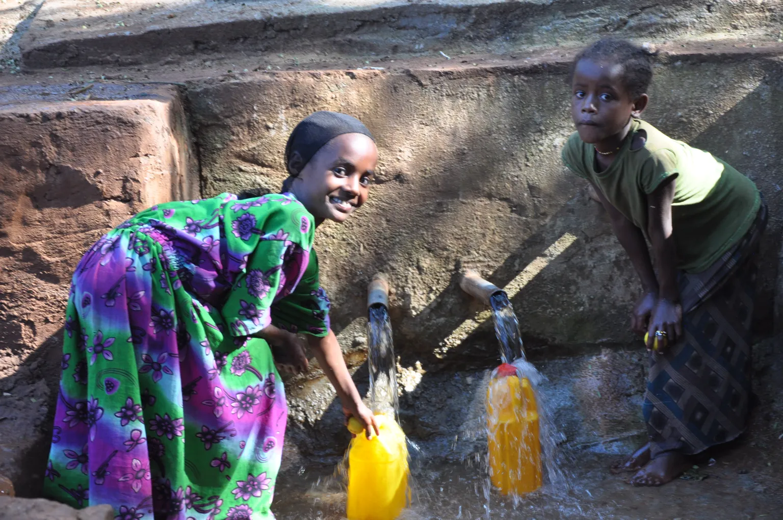 Enabling the sanitation environment for private actors