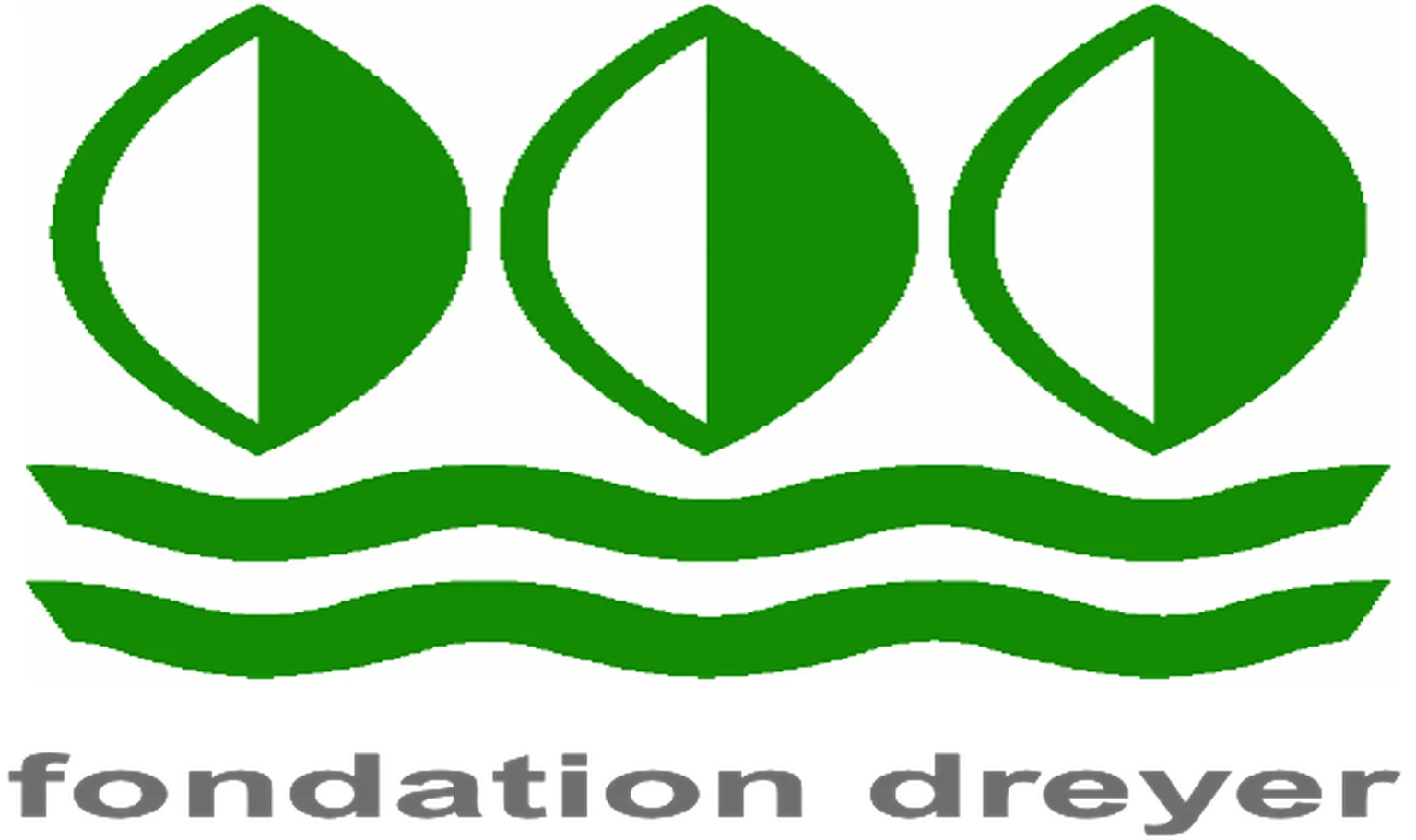 Dreyer Foundation