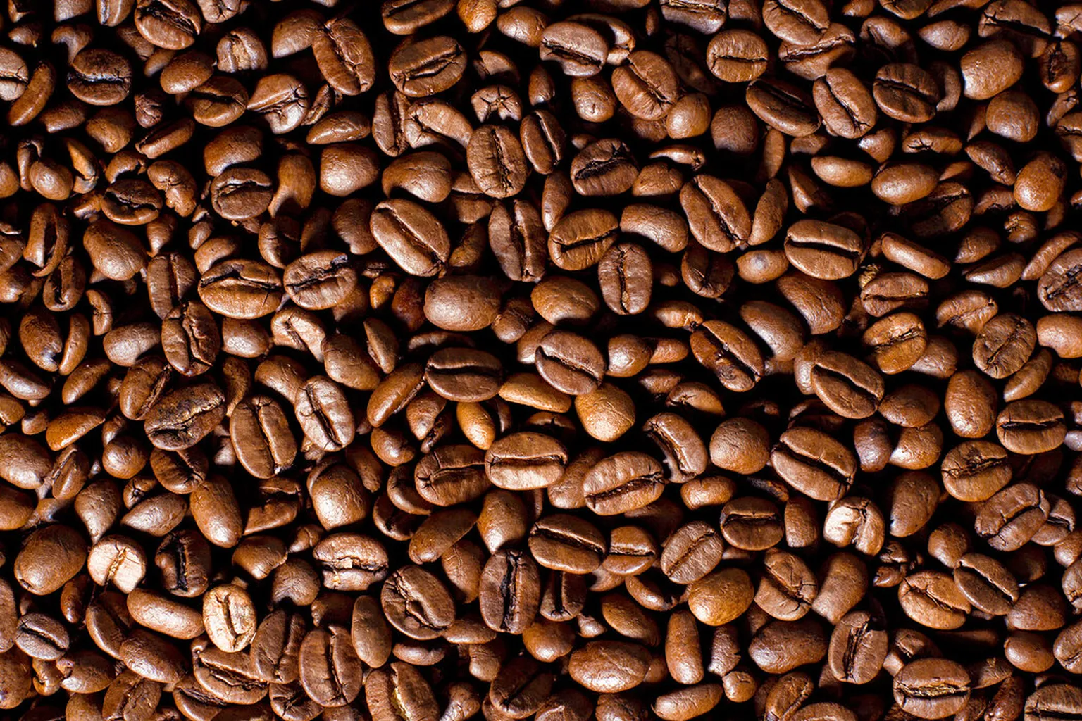 close up of coffee beans