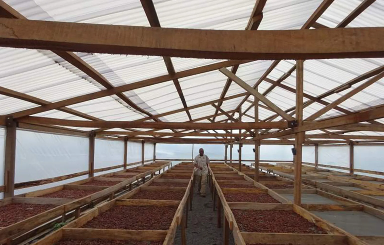 The new shed for drying fermented beans