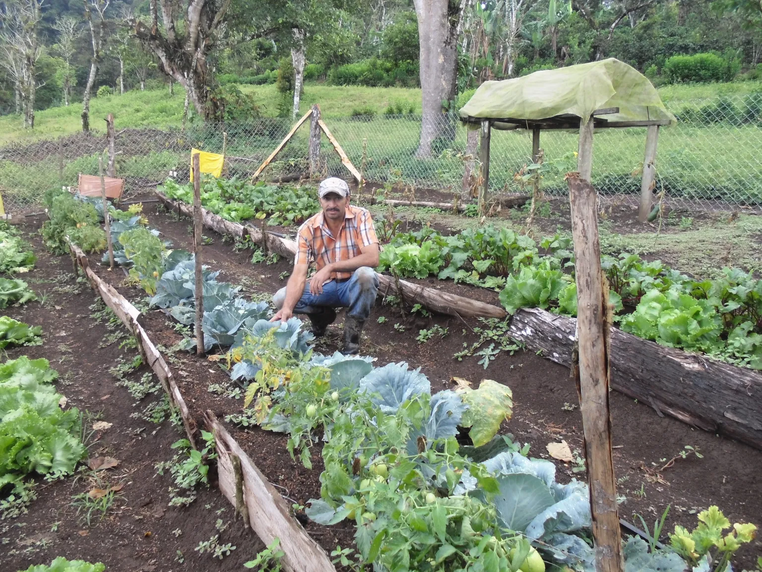 Improved nutrition and food security for coffee and cocoa farmers