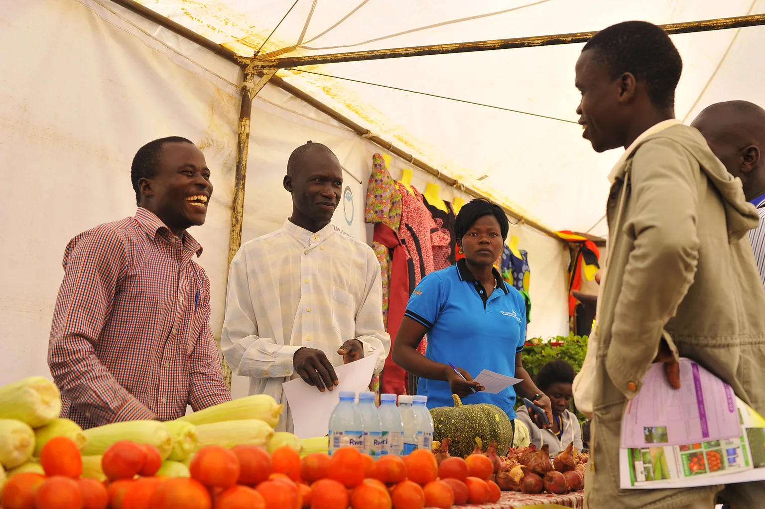 YES project creates jobs for 5,717 young people