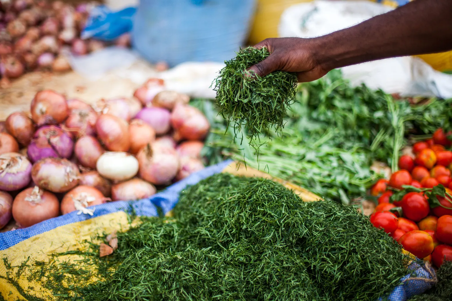 Food security and nutrition in an urbanising world