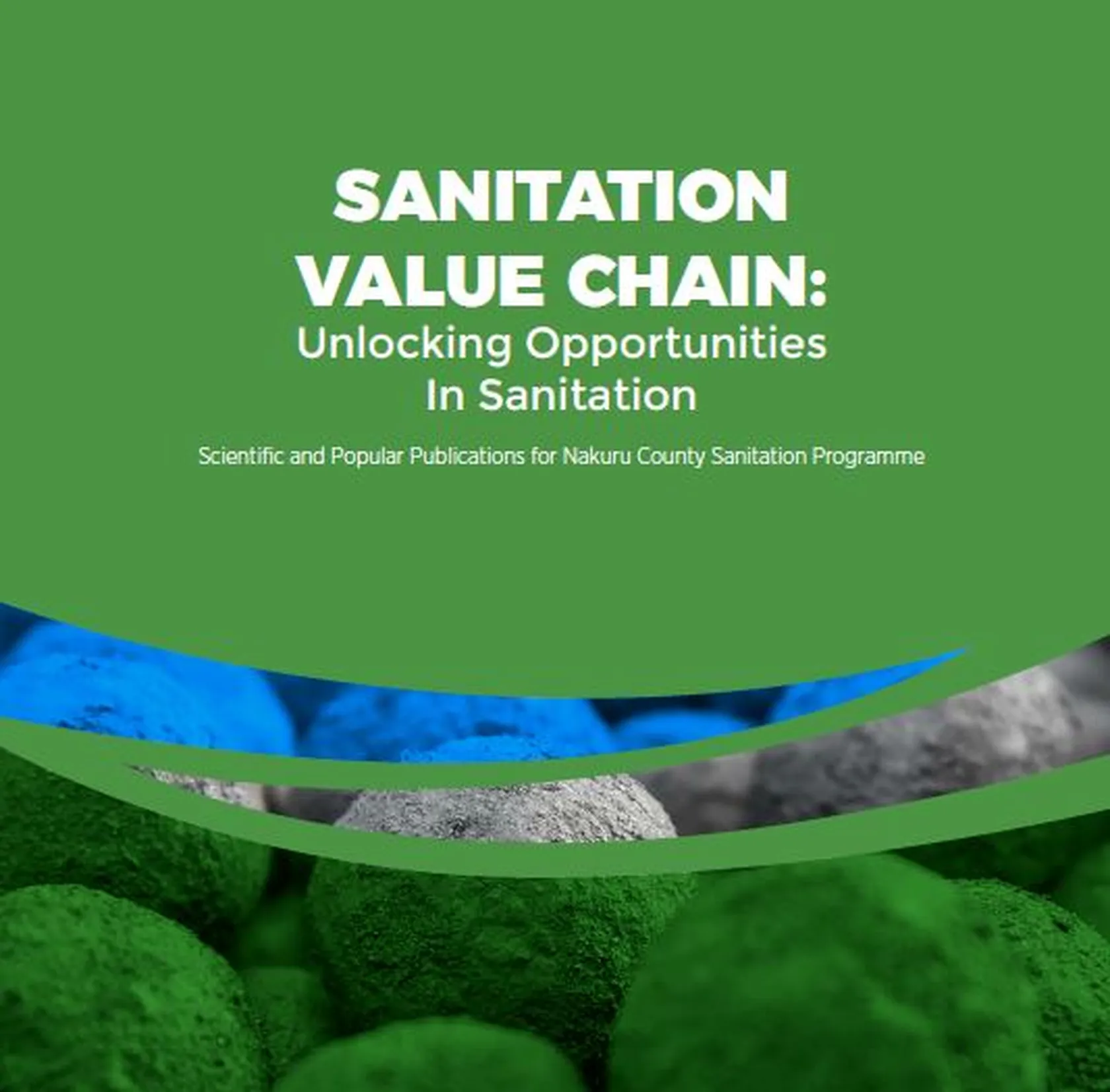 Sanitation value chain: unlocking opportunities in sanitation