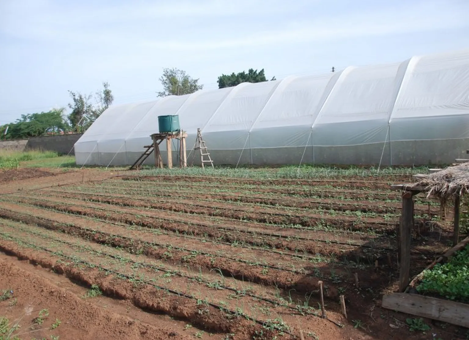 Water efficient irrigation system 