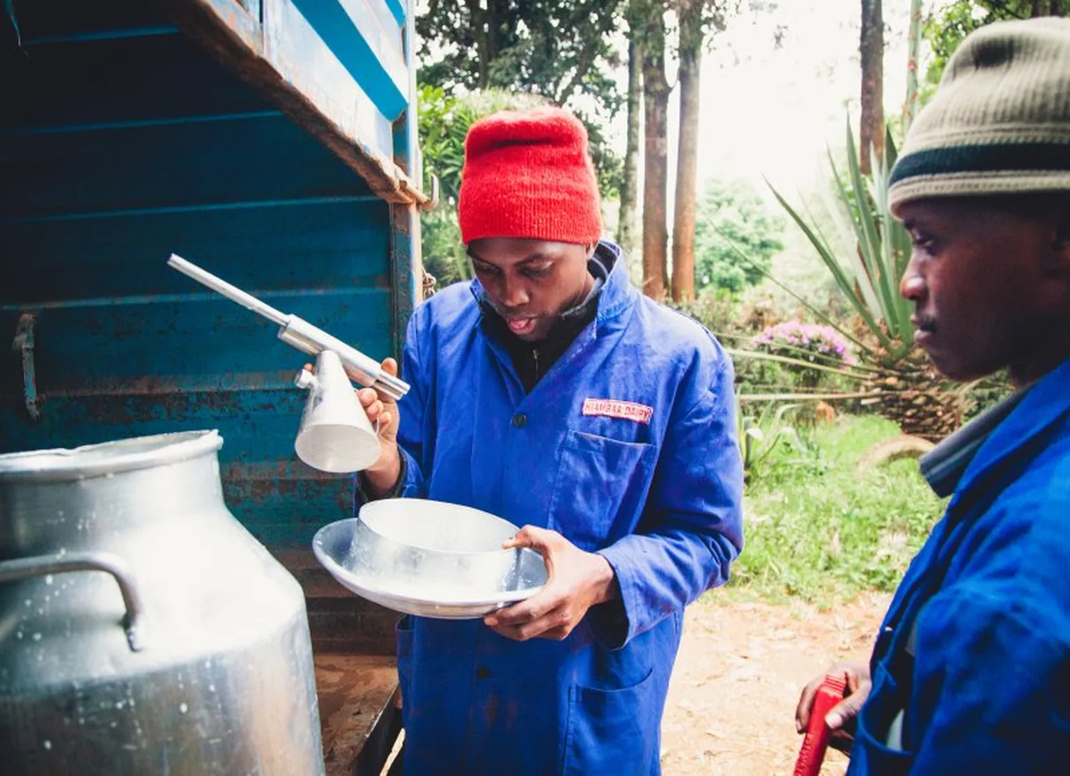 A mere 30% of locally produced milk makes it to the cooperative
