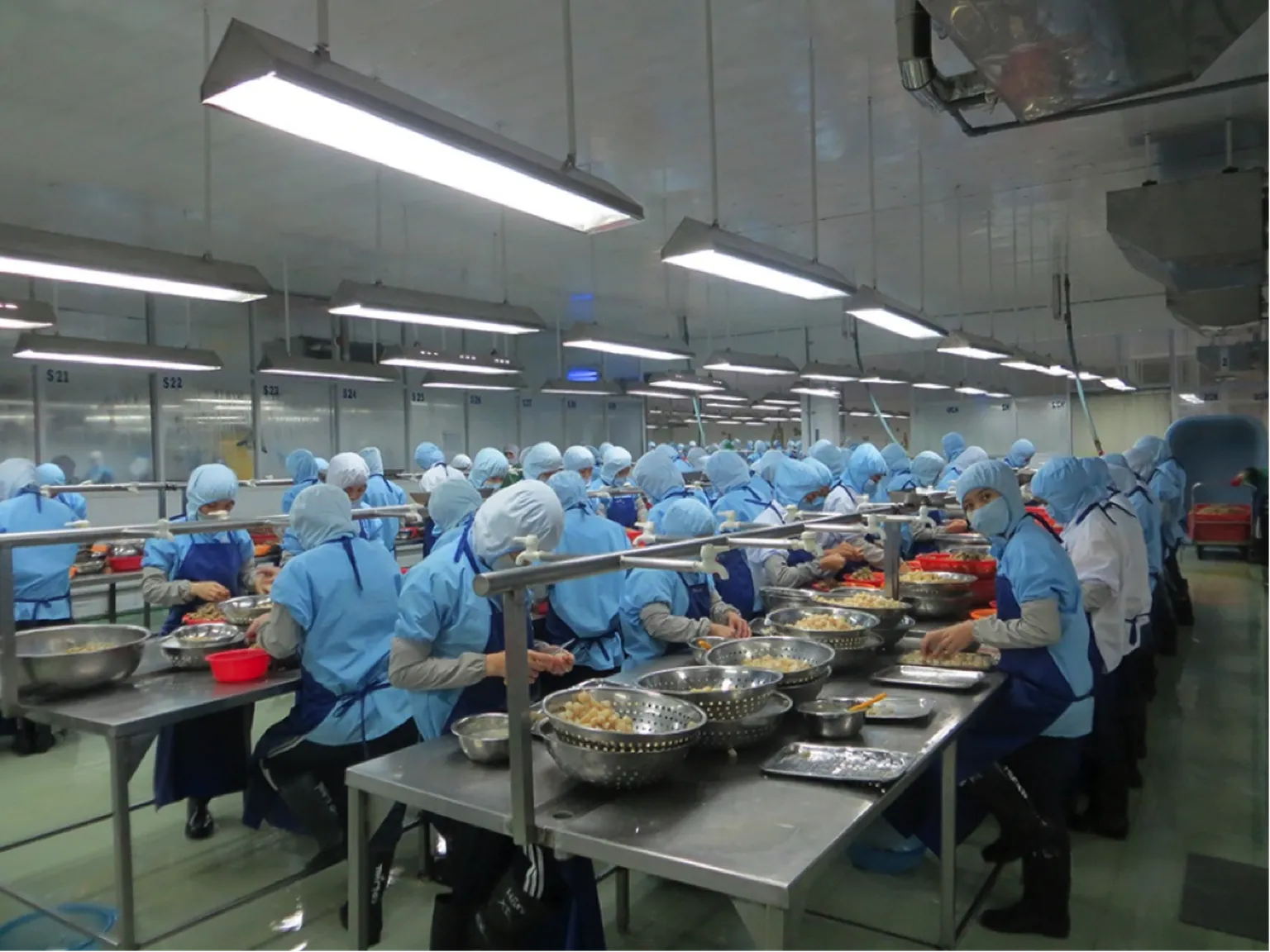 Restoring scallop natural resources for sustainable fishing