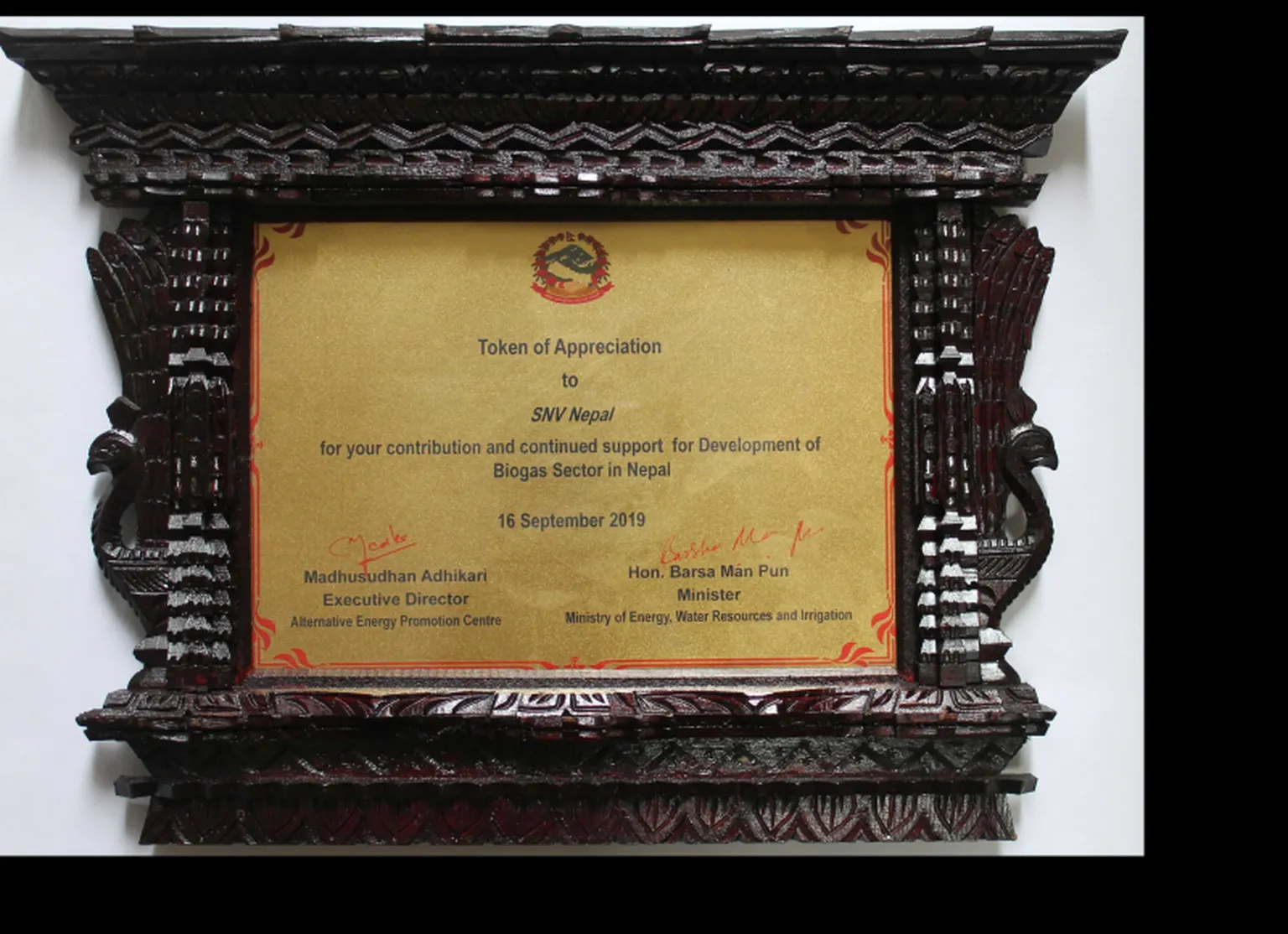 The plaquette