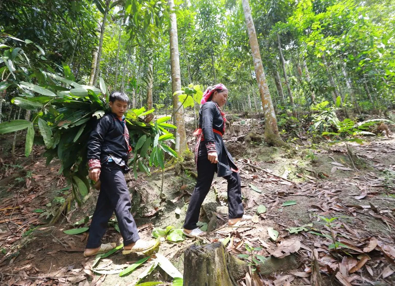 People in forest