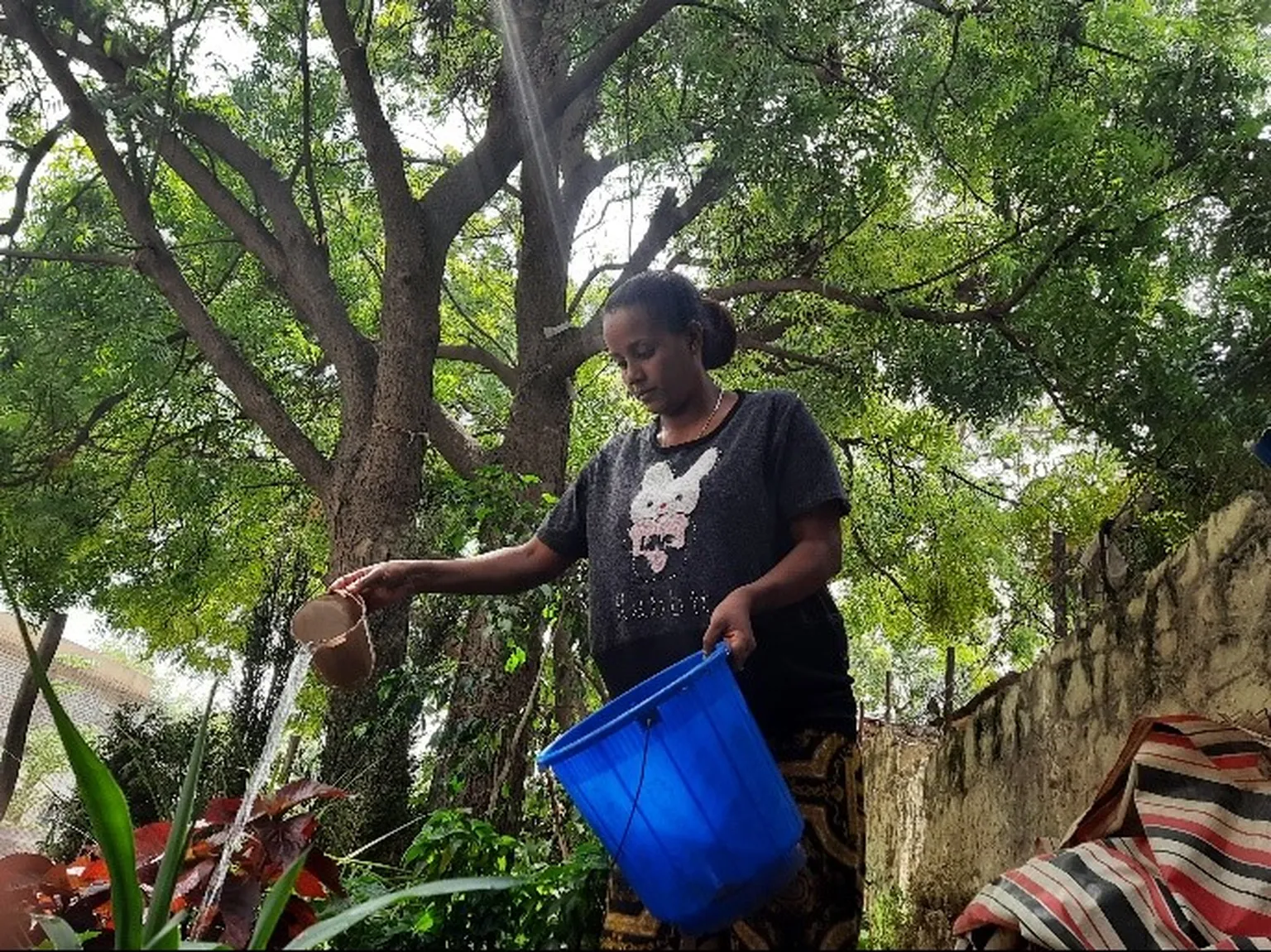 Bemnet Hailu from Greenery and Landscaping is a woman-led enterprise 