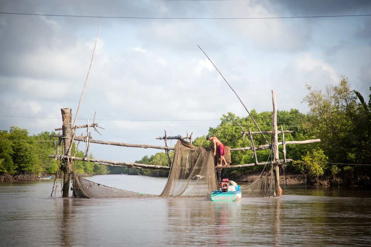 Mangroves and Markets project welcomes new private sector partner