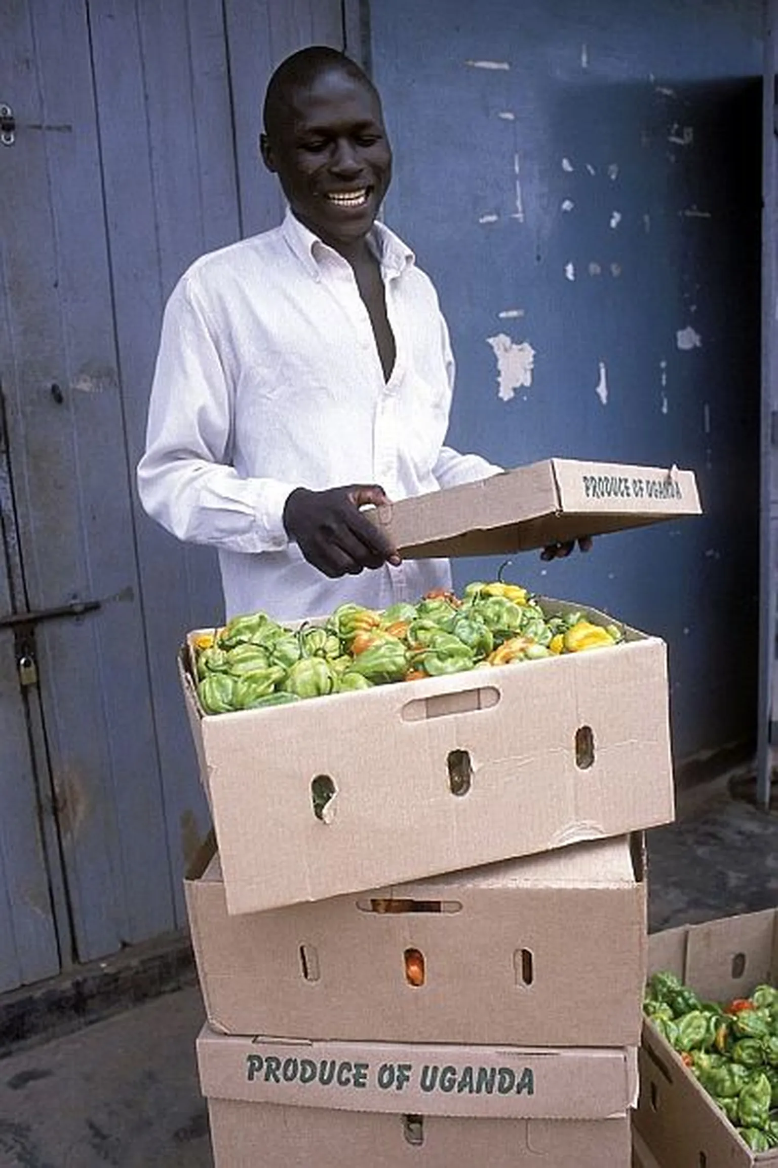 Top 10 things you need to know for inclusive value chains