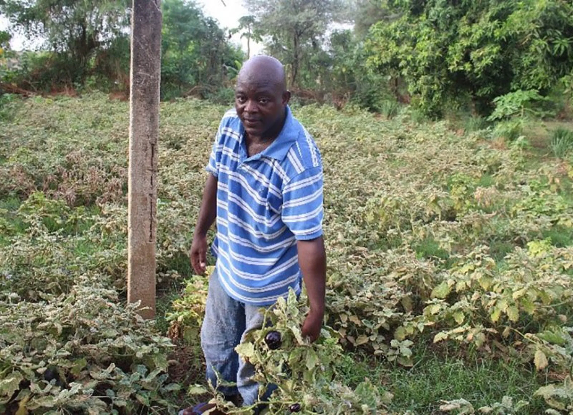 Sounkalo in his plot