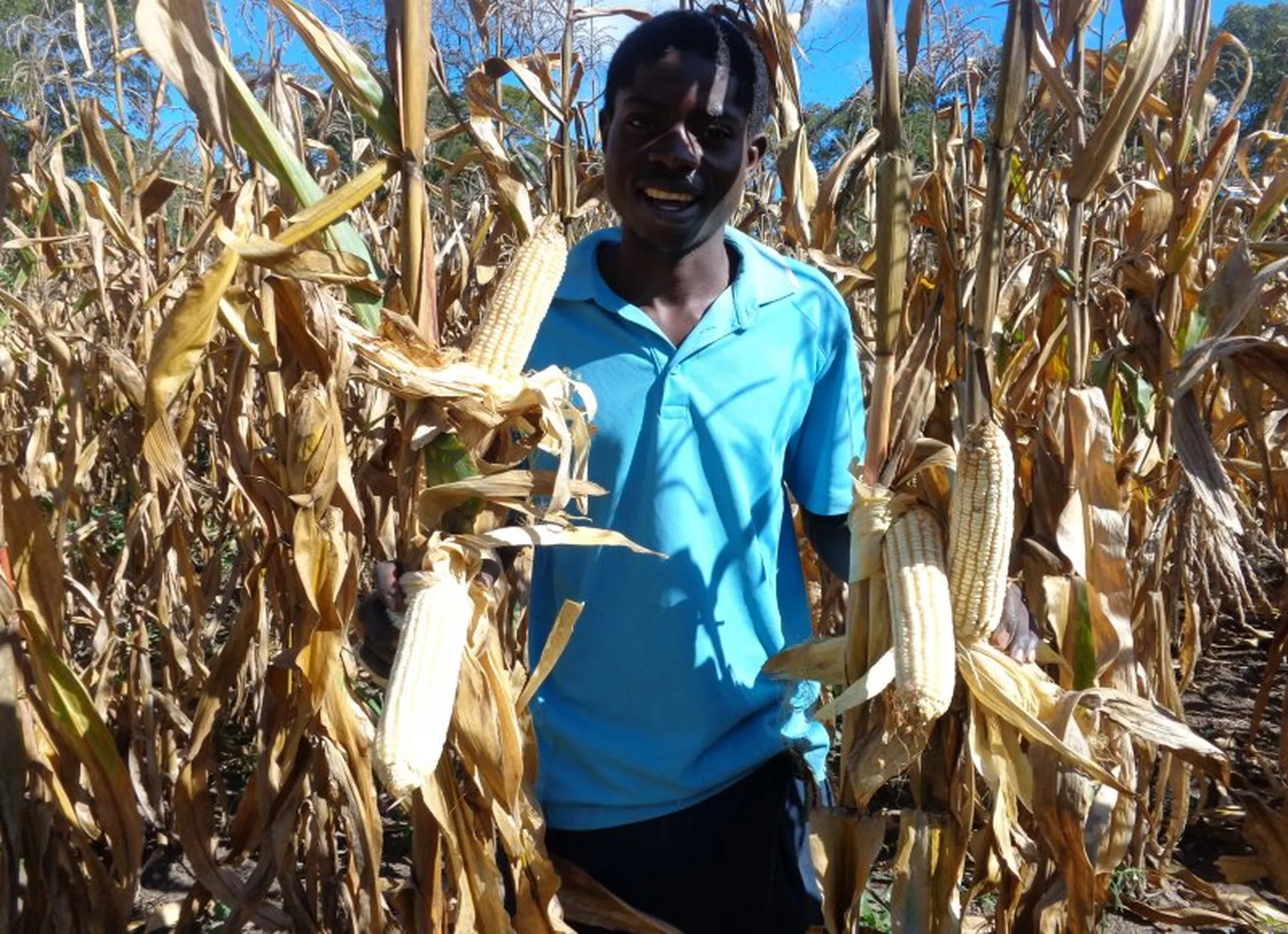 Chupai on his farming plot